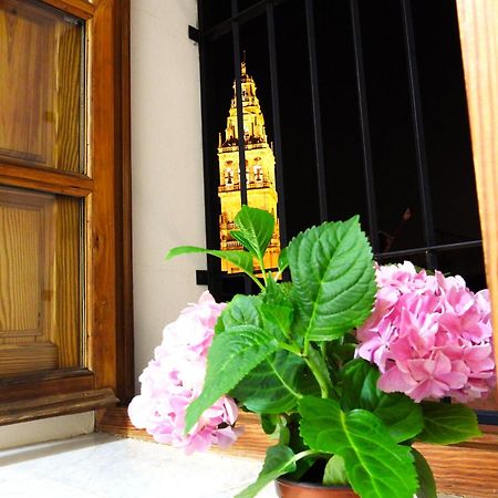 La Calleja De La Mezquita Córdoba Eksteriør bilde